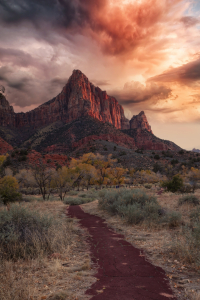 USA - NP Zion