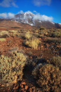 Tenerife_Pico-de-Teide-II